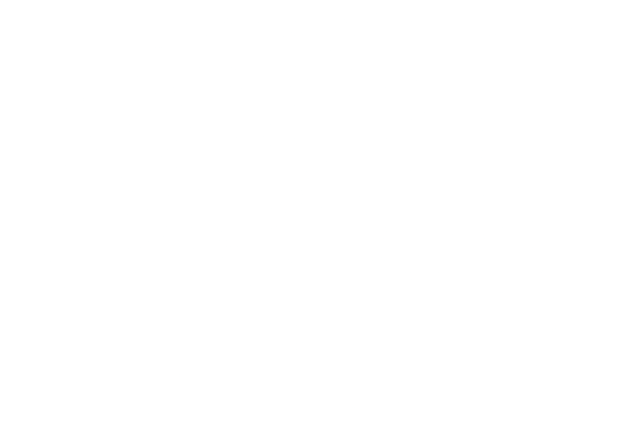 artist logo
