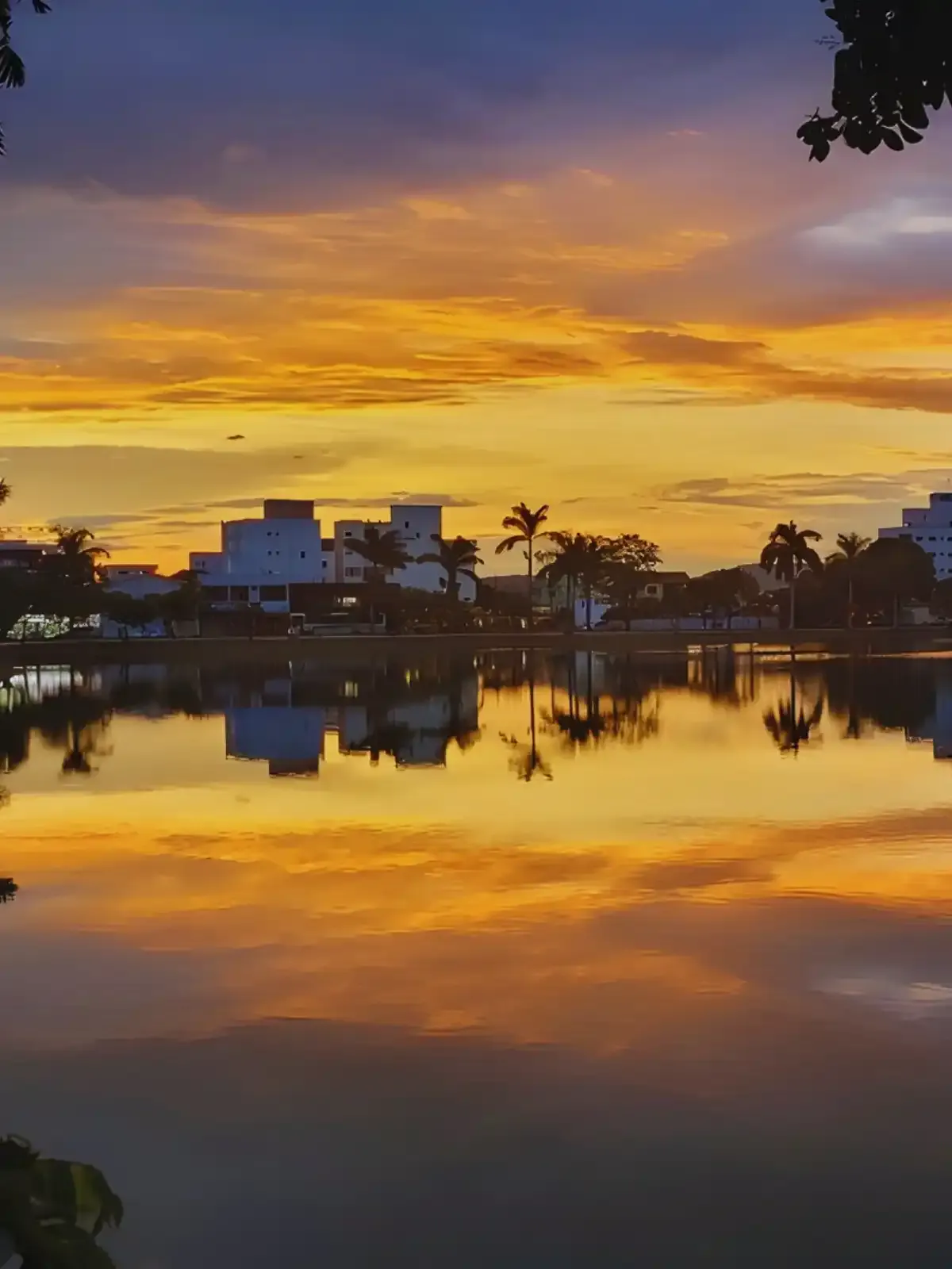 Pôr do sol refletido em um lago com prédios modernos ao fundo, árvores tropicais ao redor criando uma cena tranquila e pintada de tons quentes.