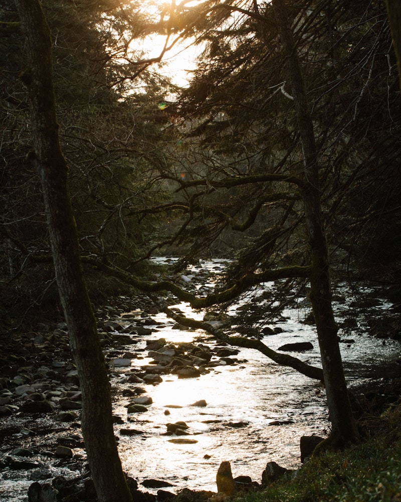 River Dye swim