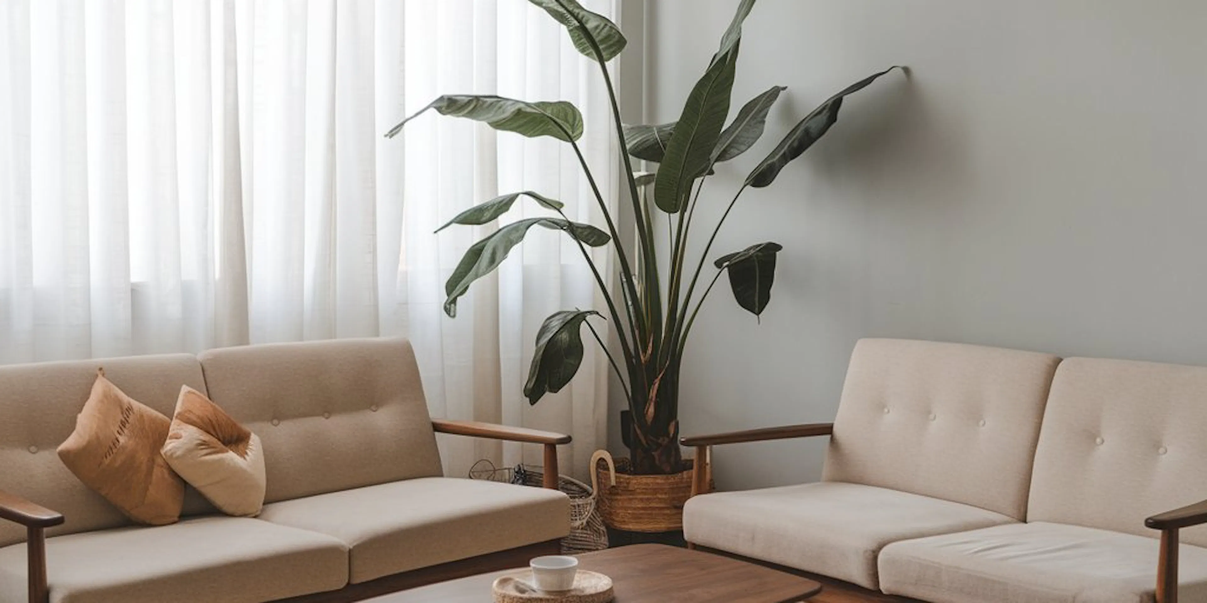 Un séjour bien décoré avec une plante