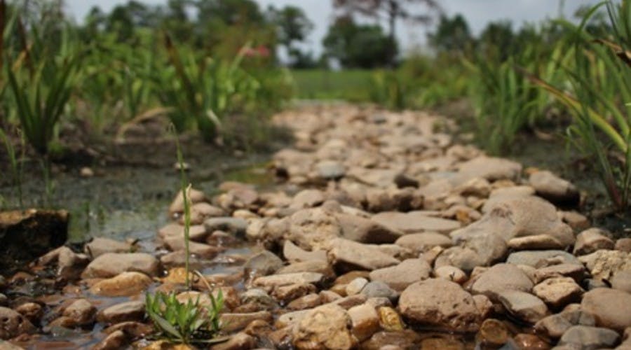 bioswale in Houston on white oak bayou