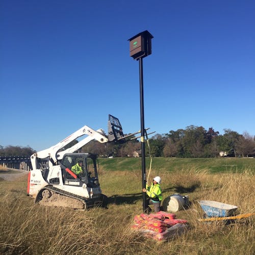 bat house conservation in houston