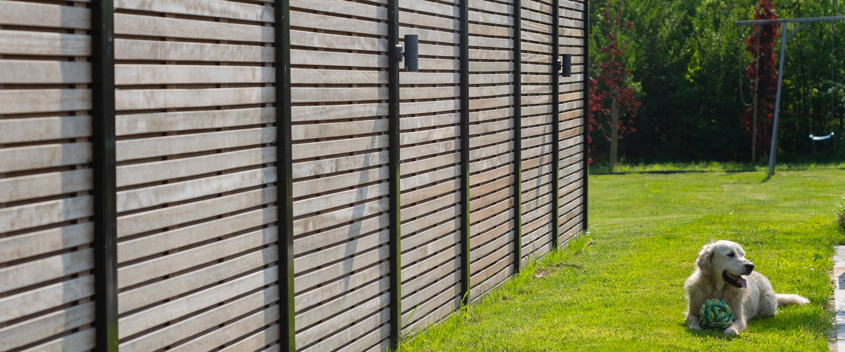 schutting, tuin, hond