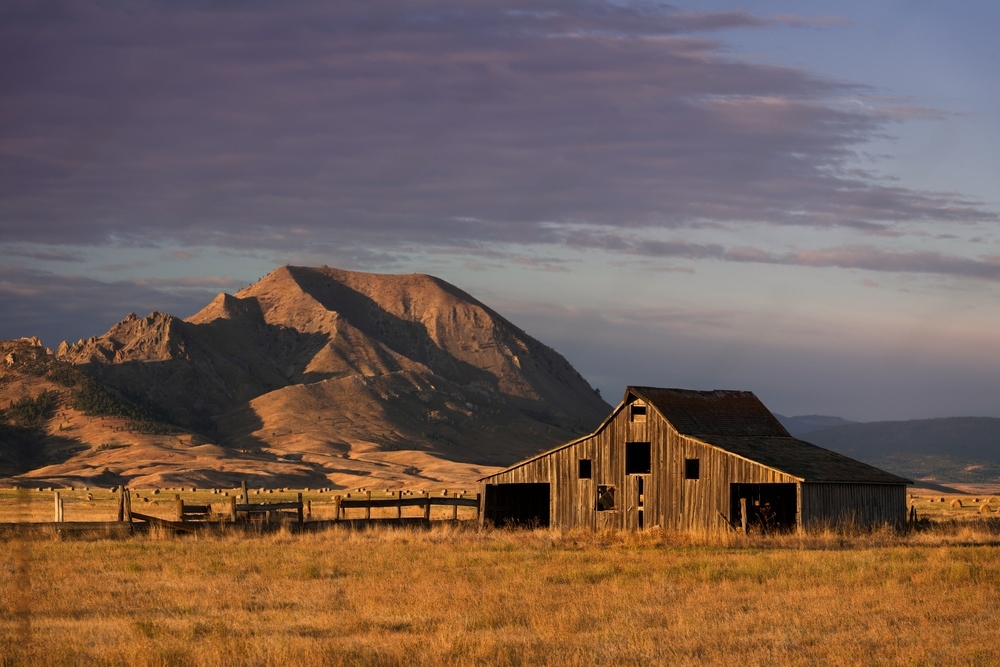 2024 South Dakota General Contractor License Requirements Houzz Pro   63ff23fa 69ac 4c17 9f81 266f33a130fe AdobeStock 112839080 Preview 5TxNeN Ju Transformed 