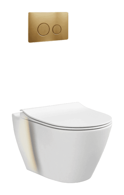 Wall-Mounted Toilets