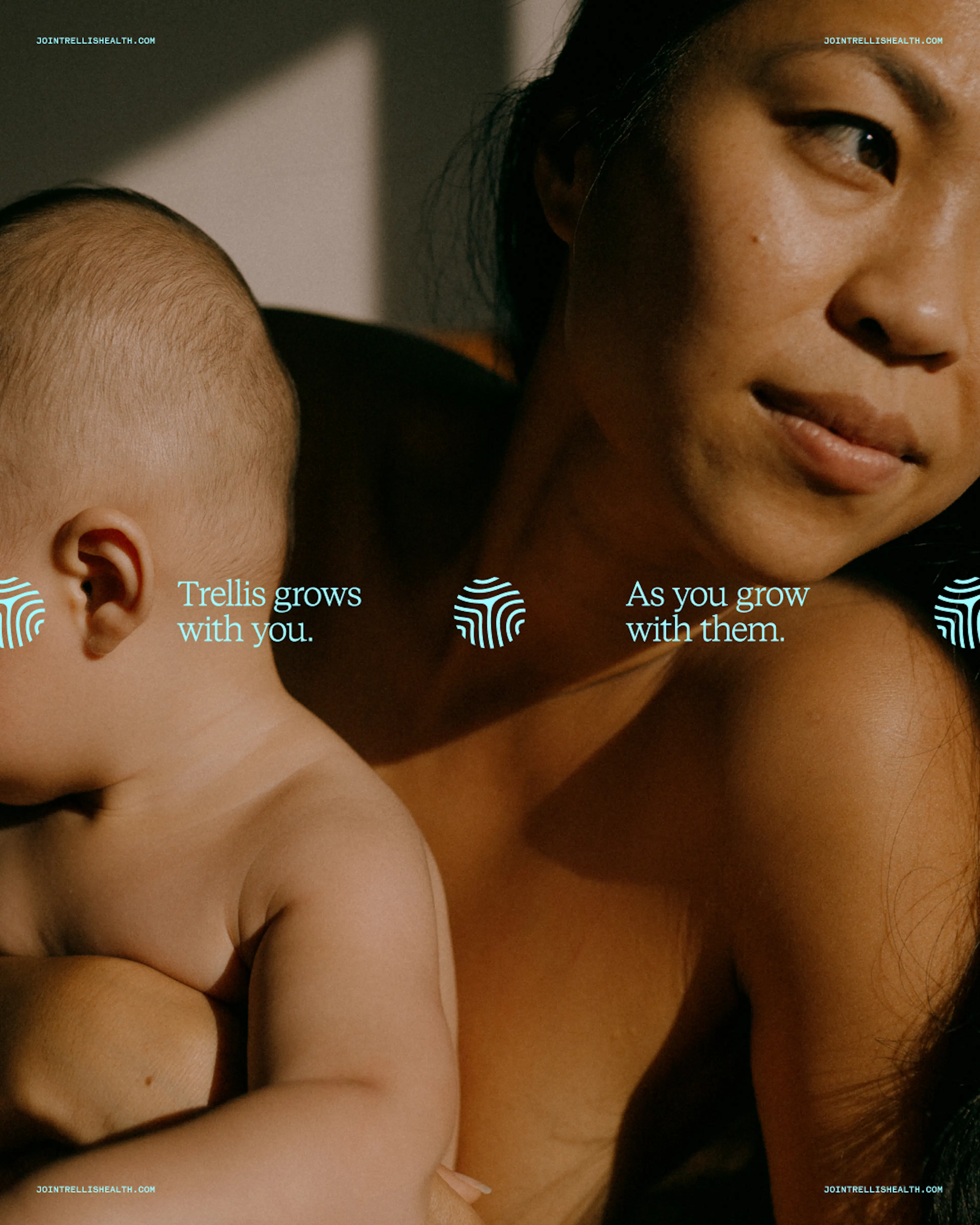 Trellis icon showcase by HOW+HOW