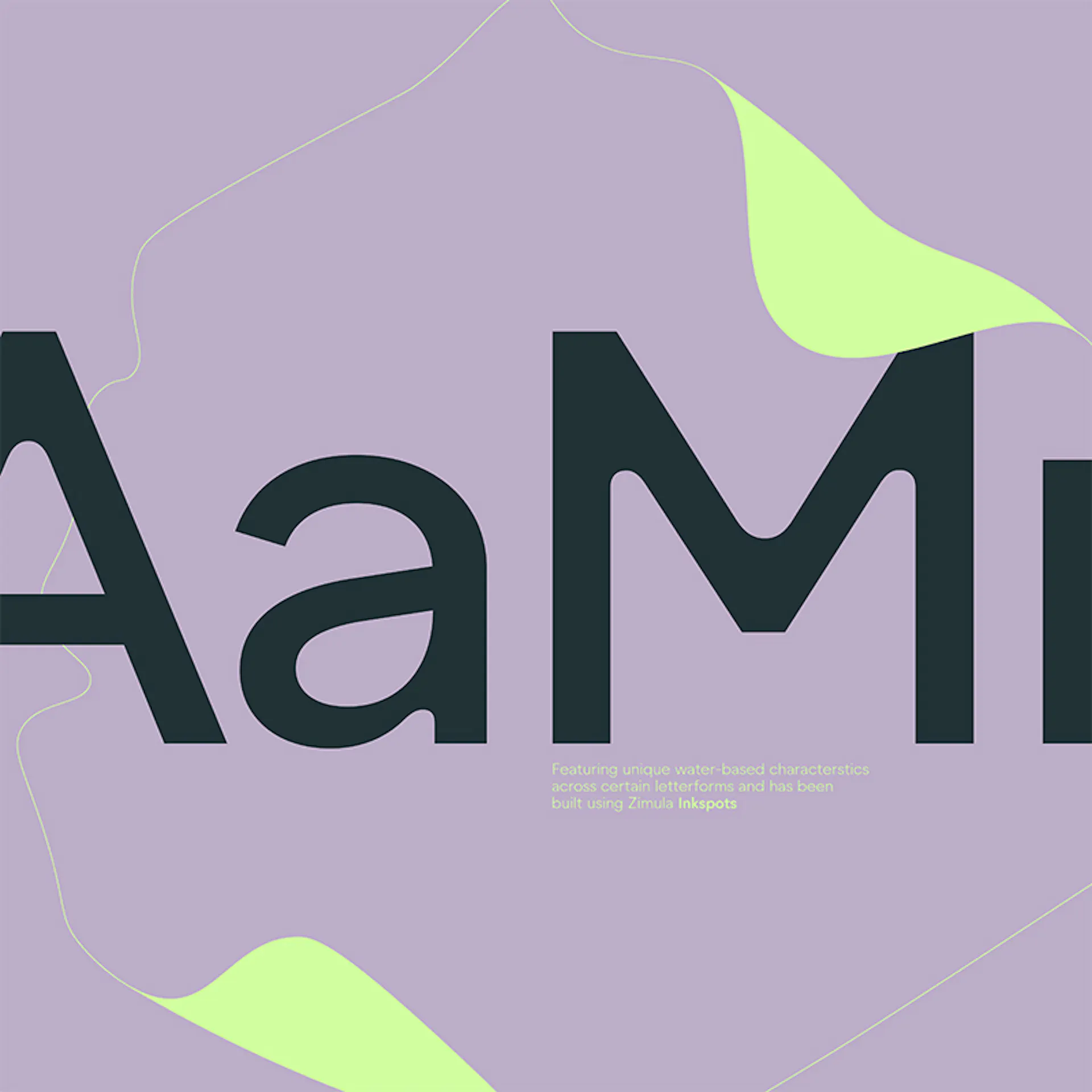 Amphico typography set in Zimula by HOW+HOW