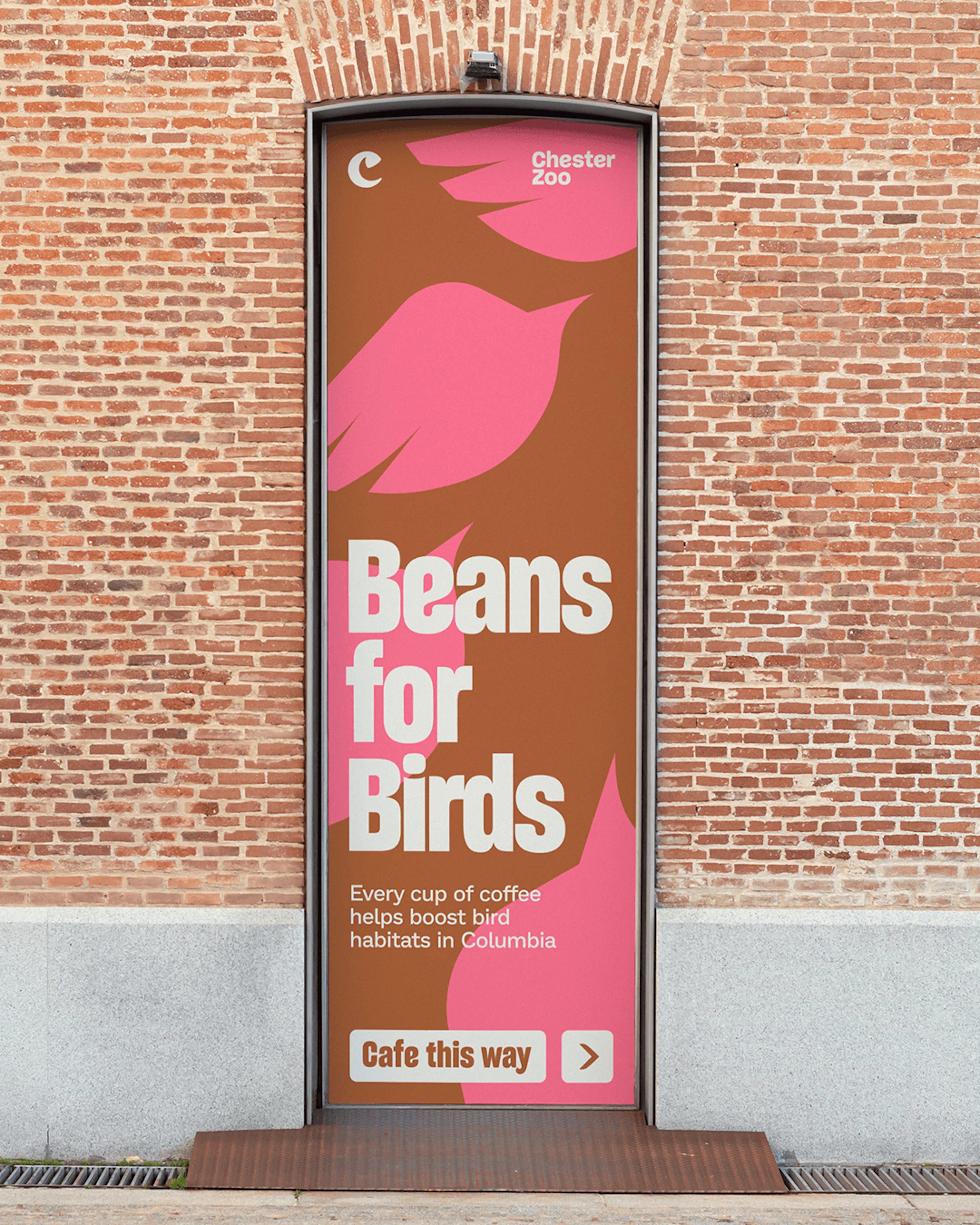 Chester Zoo café branding on a mobile screen, with migration pattern overlays