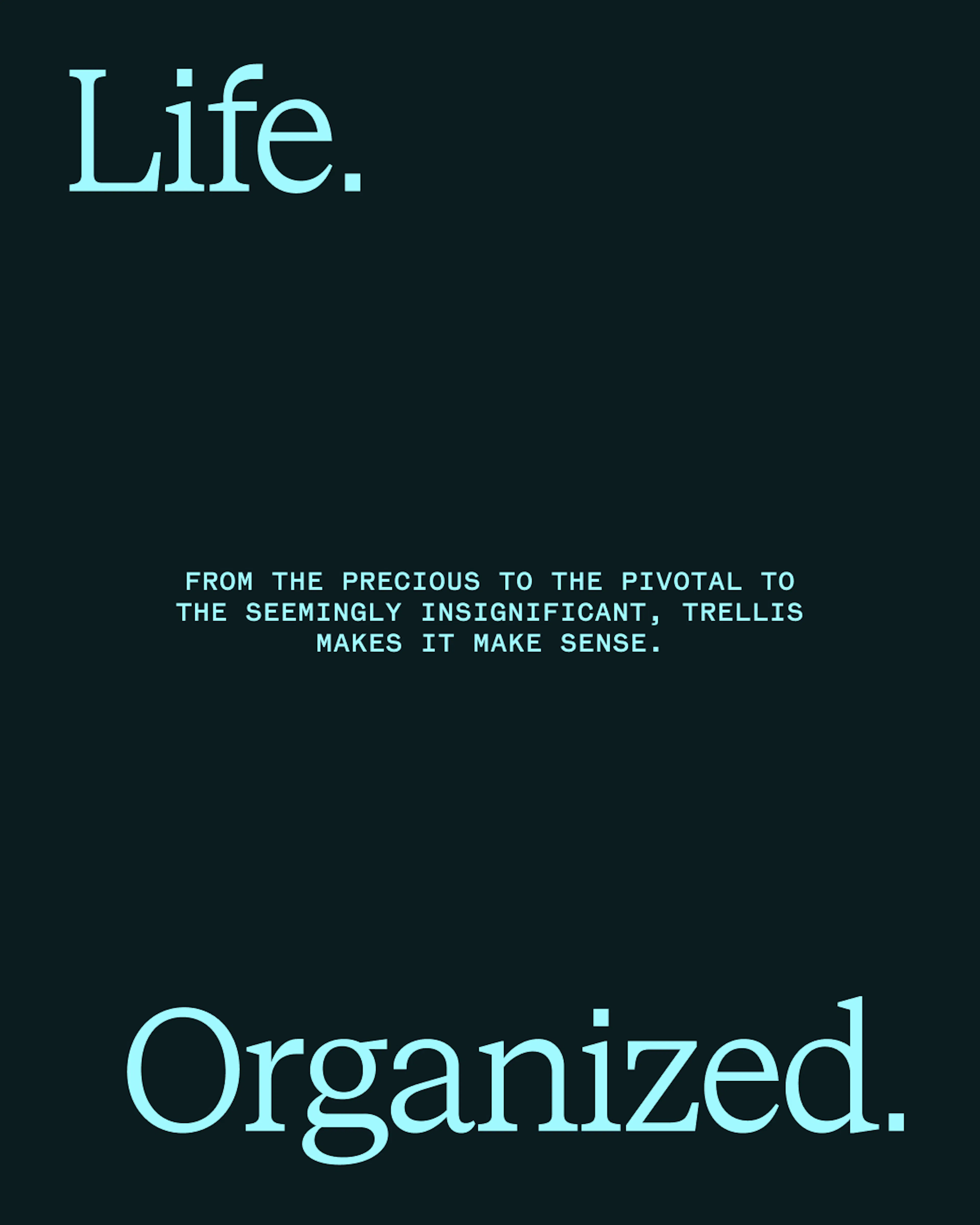 Trellis main typography on dark blue background by HOW+HOW