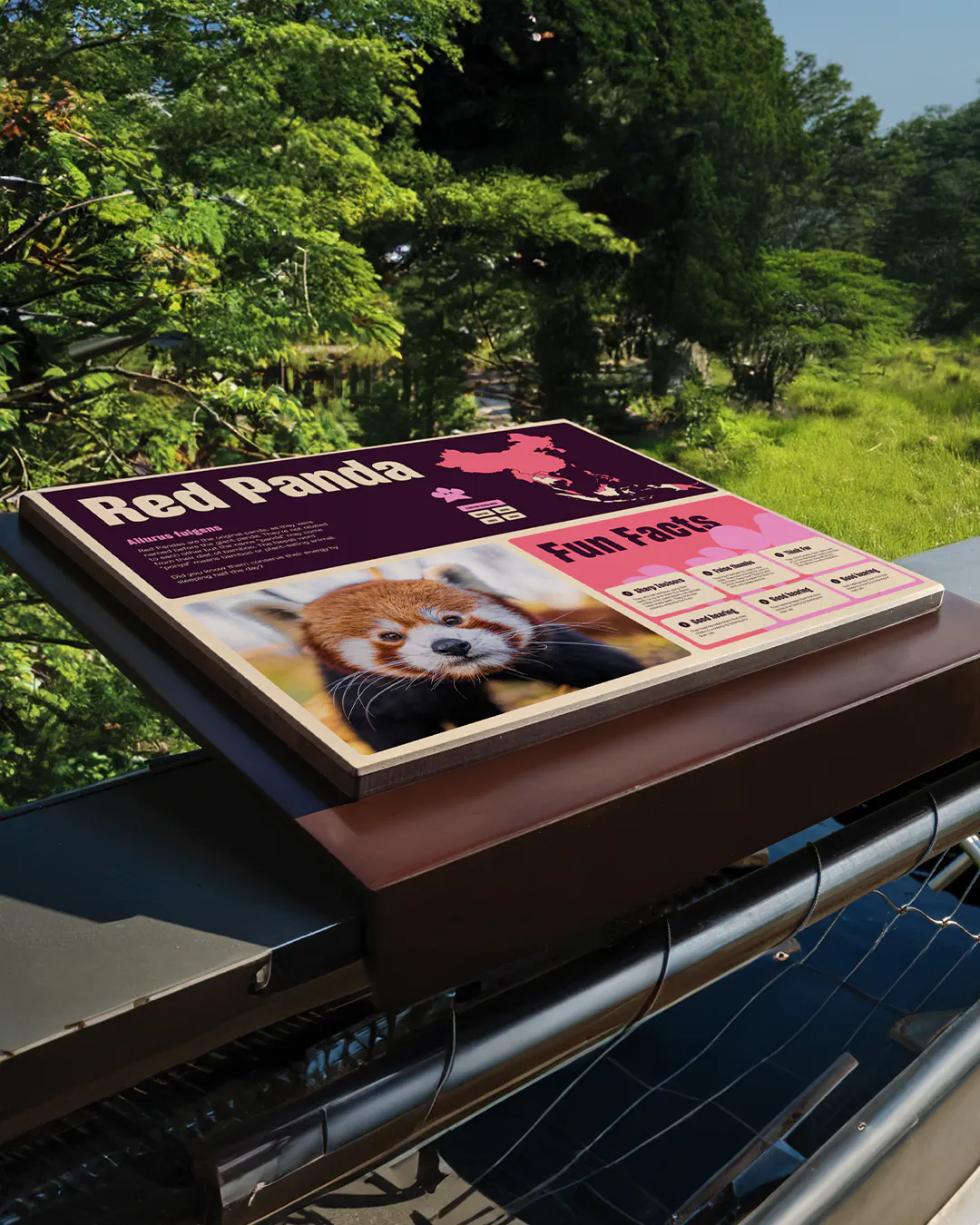 Chester Zoo red panda information sign with fun facts