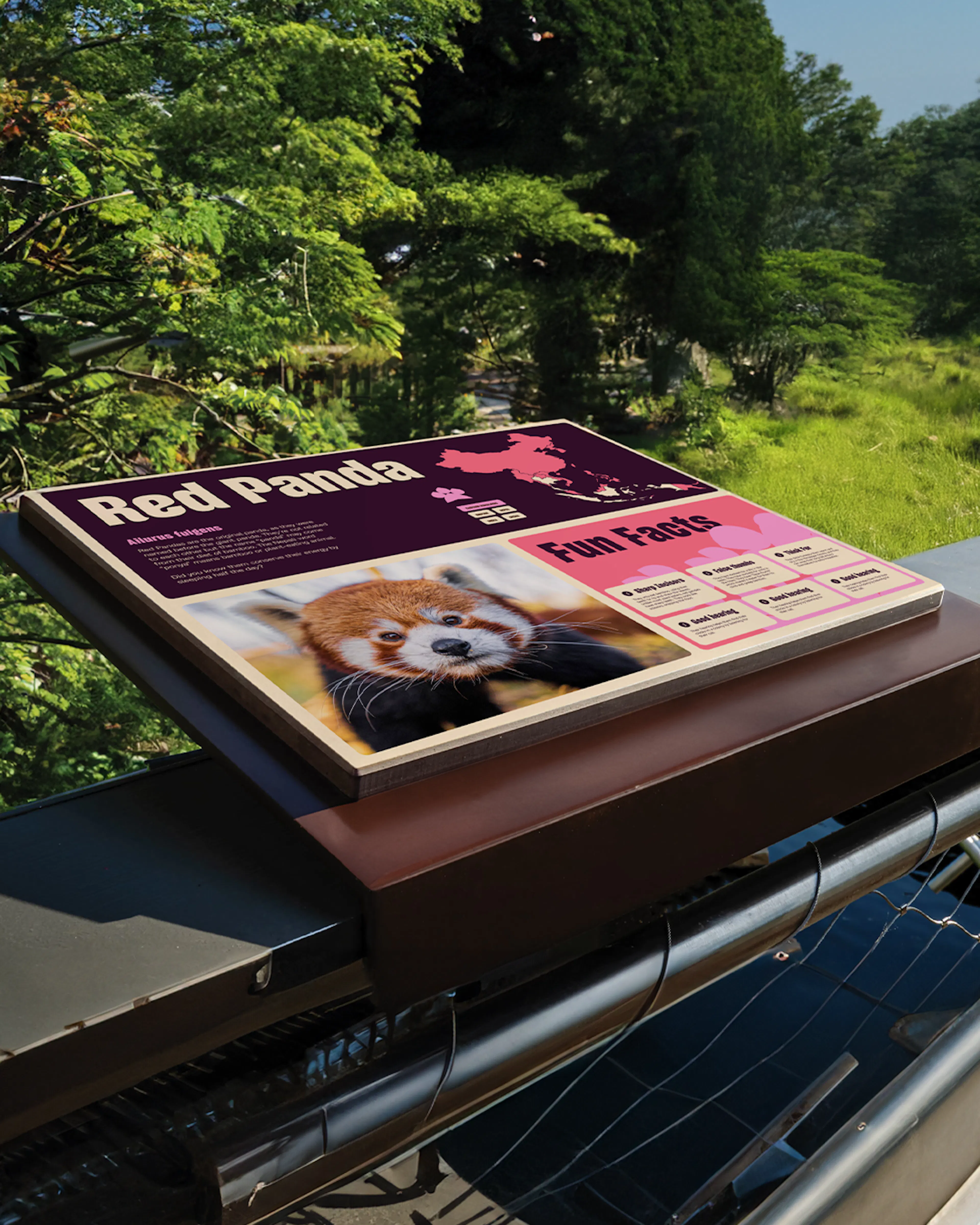 Chester Zoo red panda information sign with fun facts