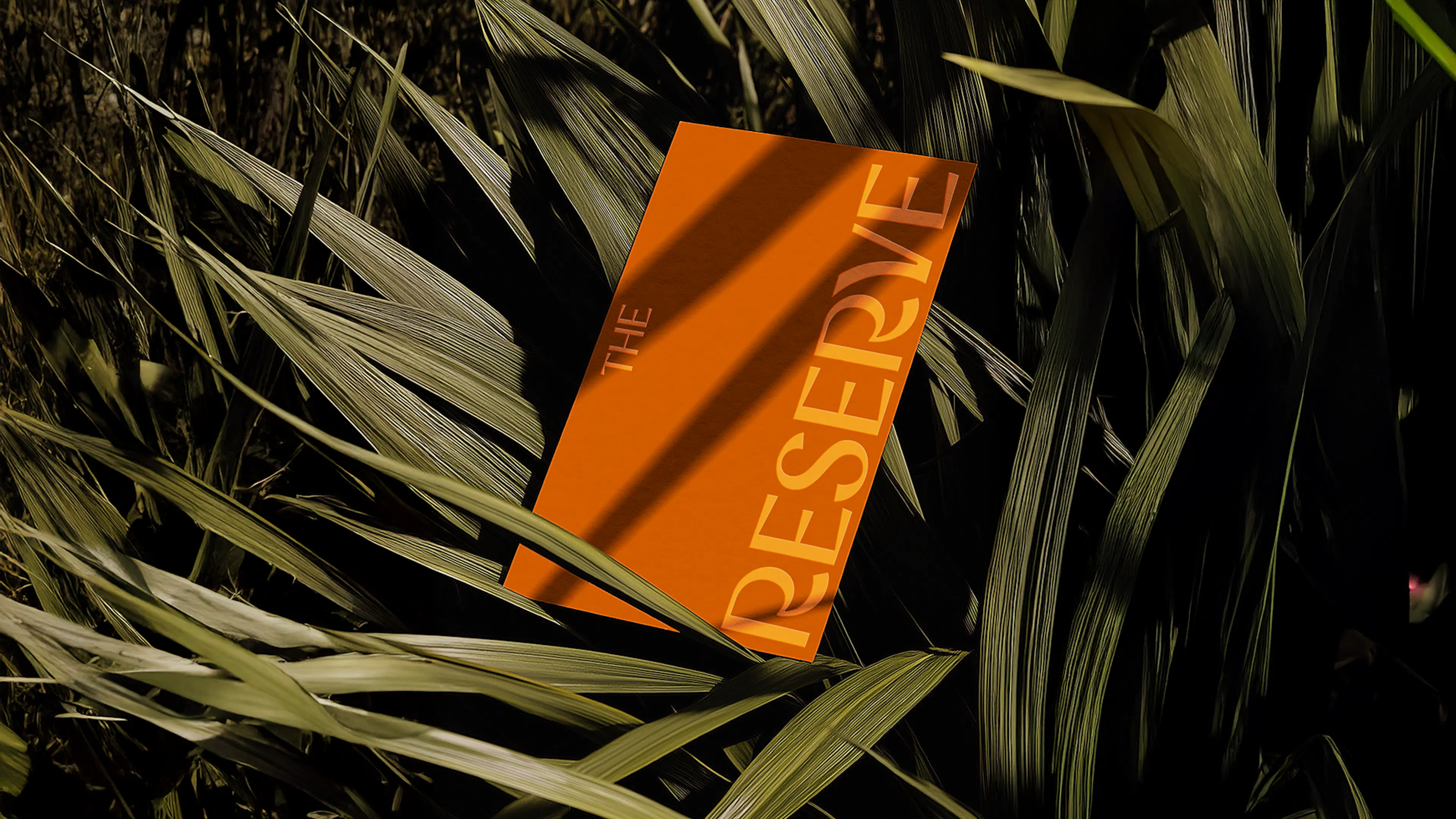 Bright orange The Reserve card resting among long grass leaves in dappled shade