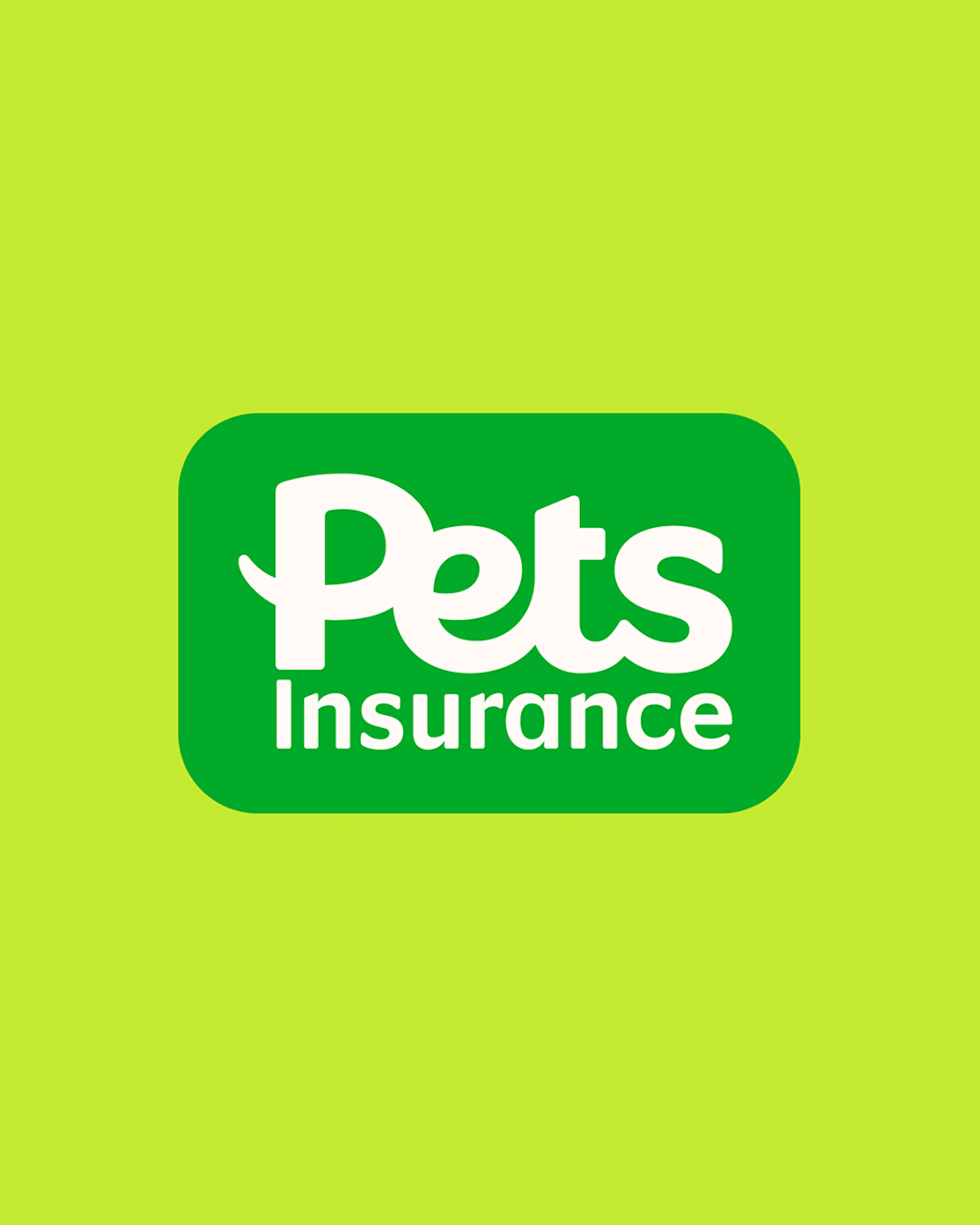 Pets Insurance logo on lime green