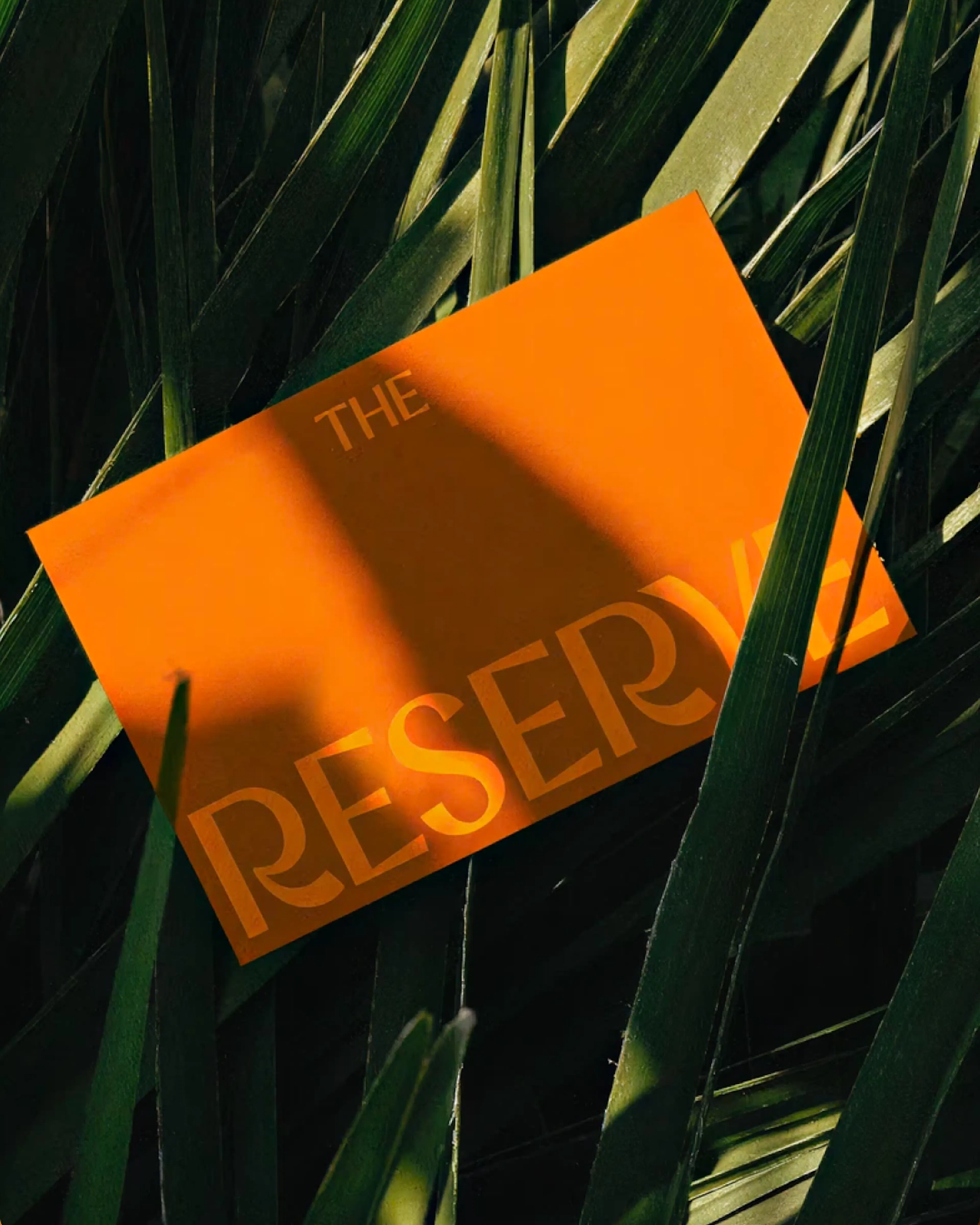 Bright orange The Reserve card resting among long grass leaves in dappled shade