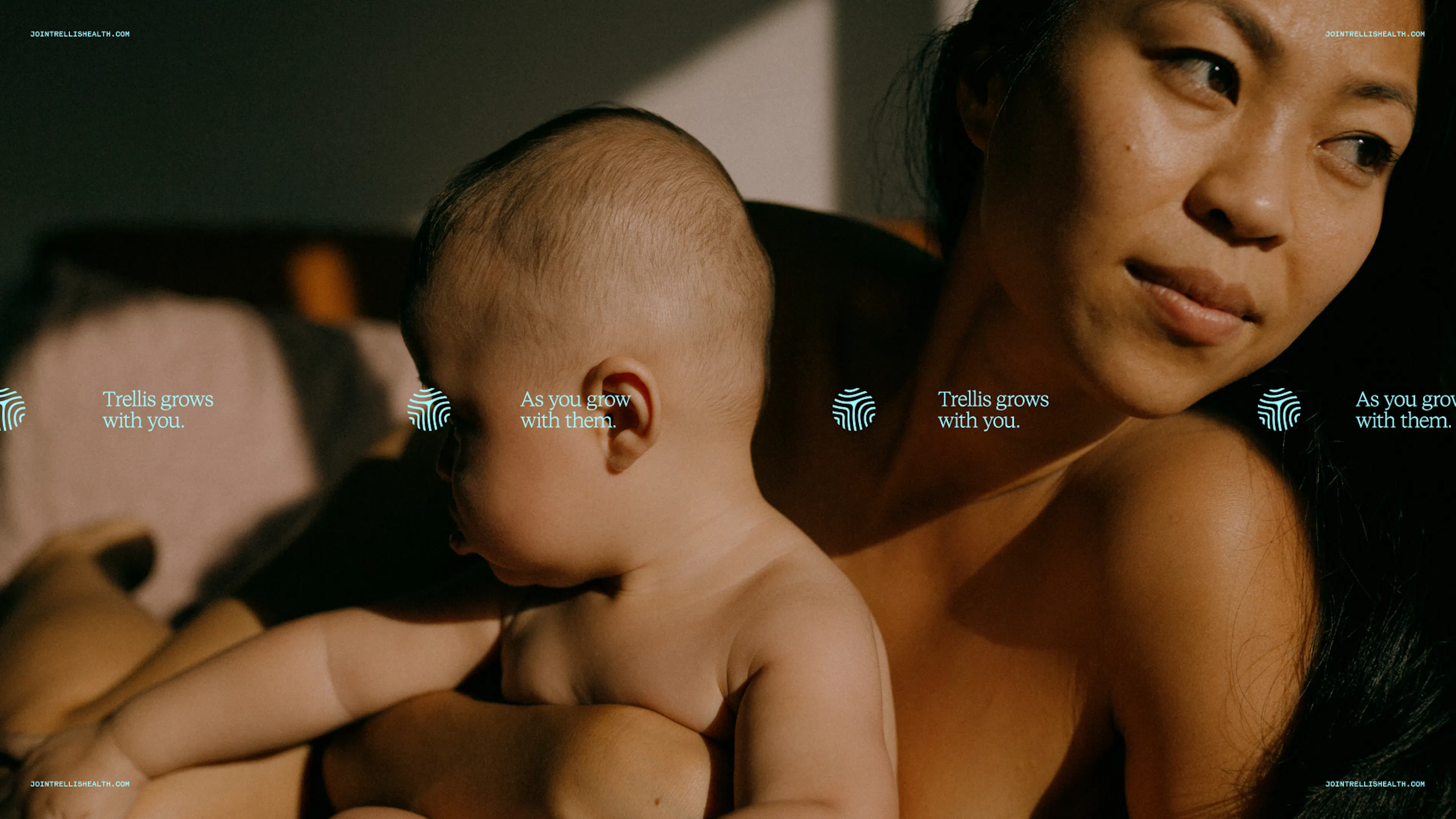Trellis icon showcase by HOW+HOW