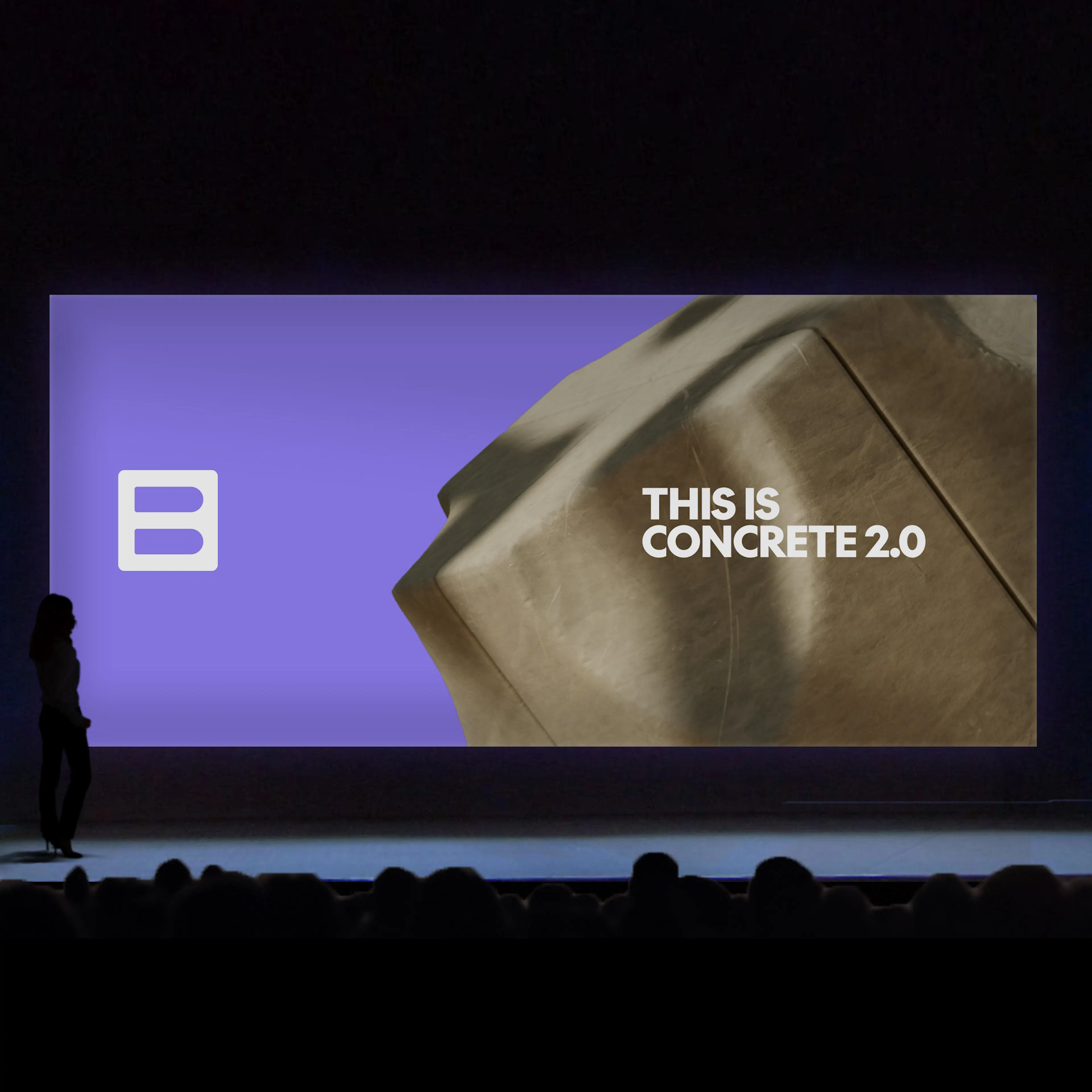 Biozeroc branding on a talk presentation