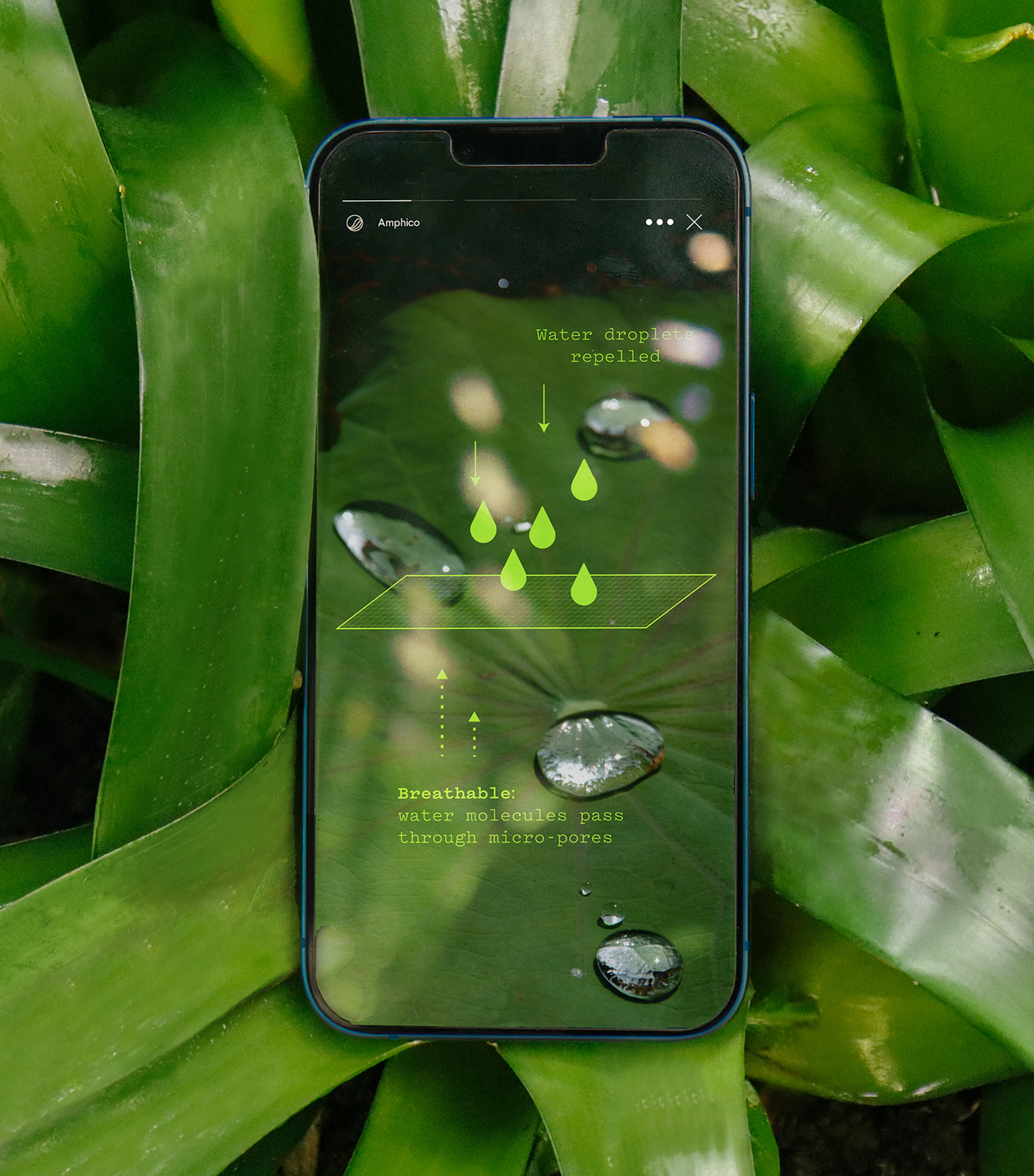 Amphico brand identity application by HOW+HOW