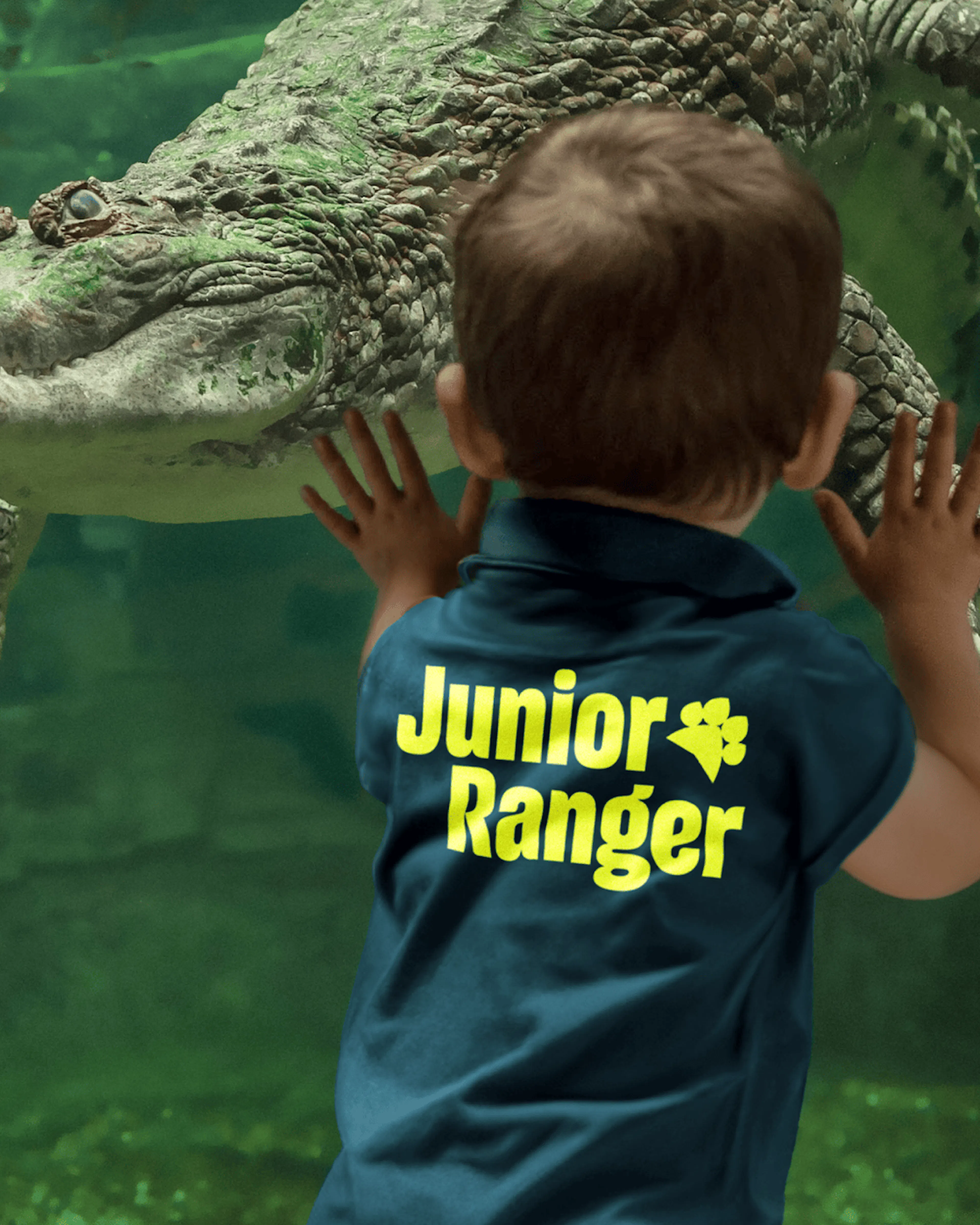 Child in a 'Junior Ranger' T-shirt watching a crocodile through the glass