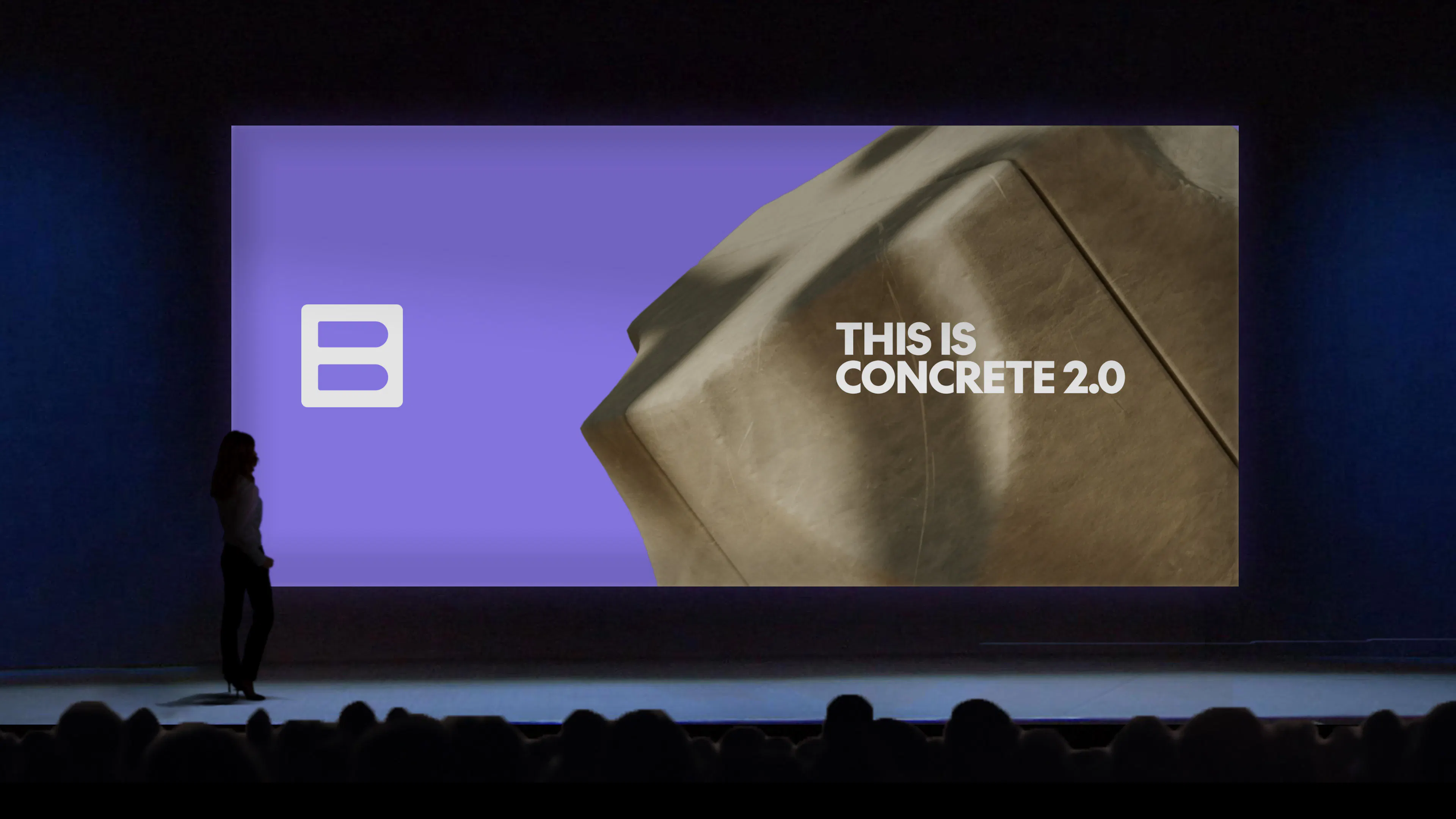 Biozeroc branding on a talk presentation