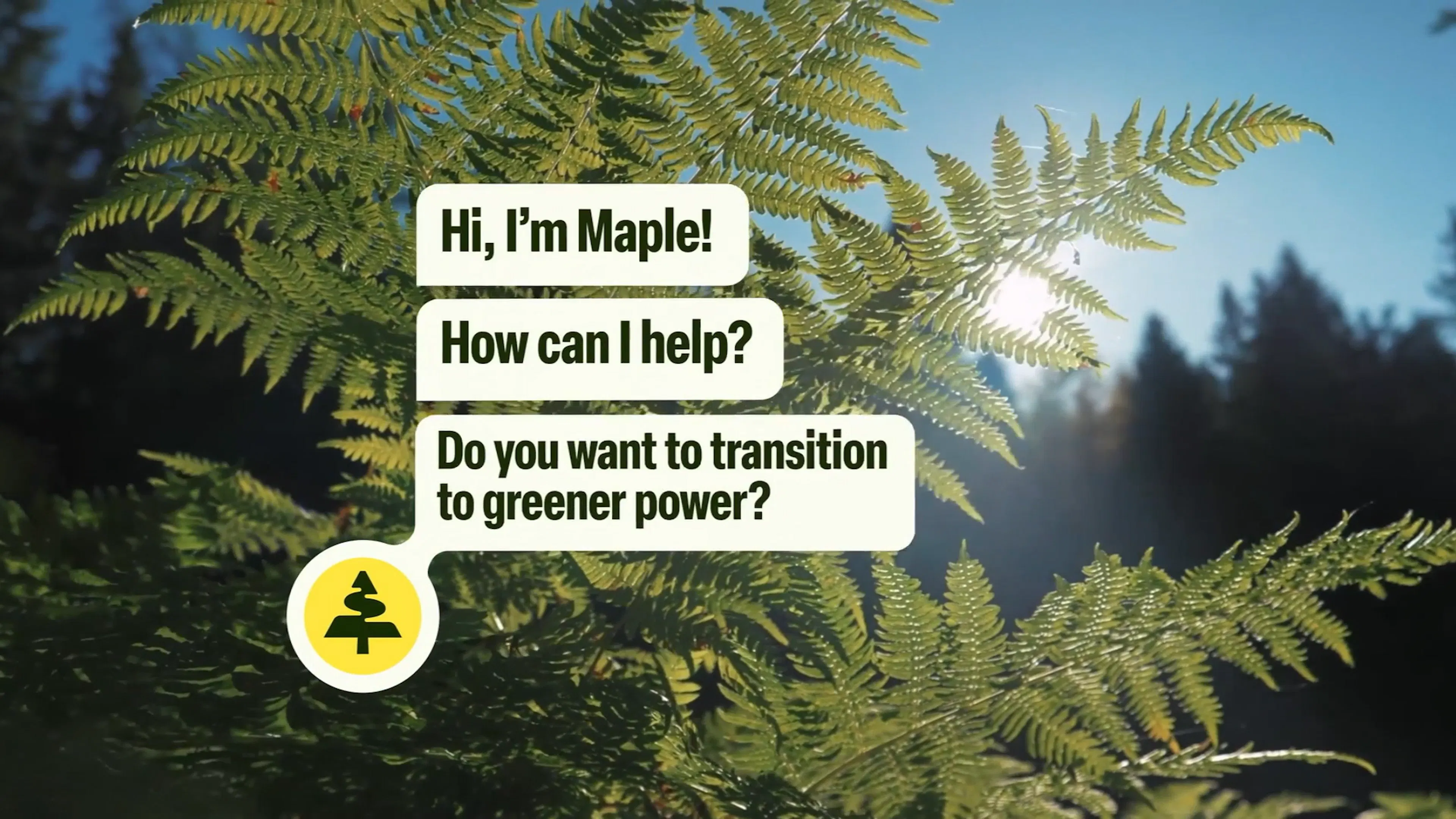 Hometree brand identity by HOW+HOW, featuring Maple the tree icon