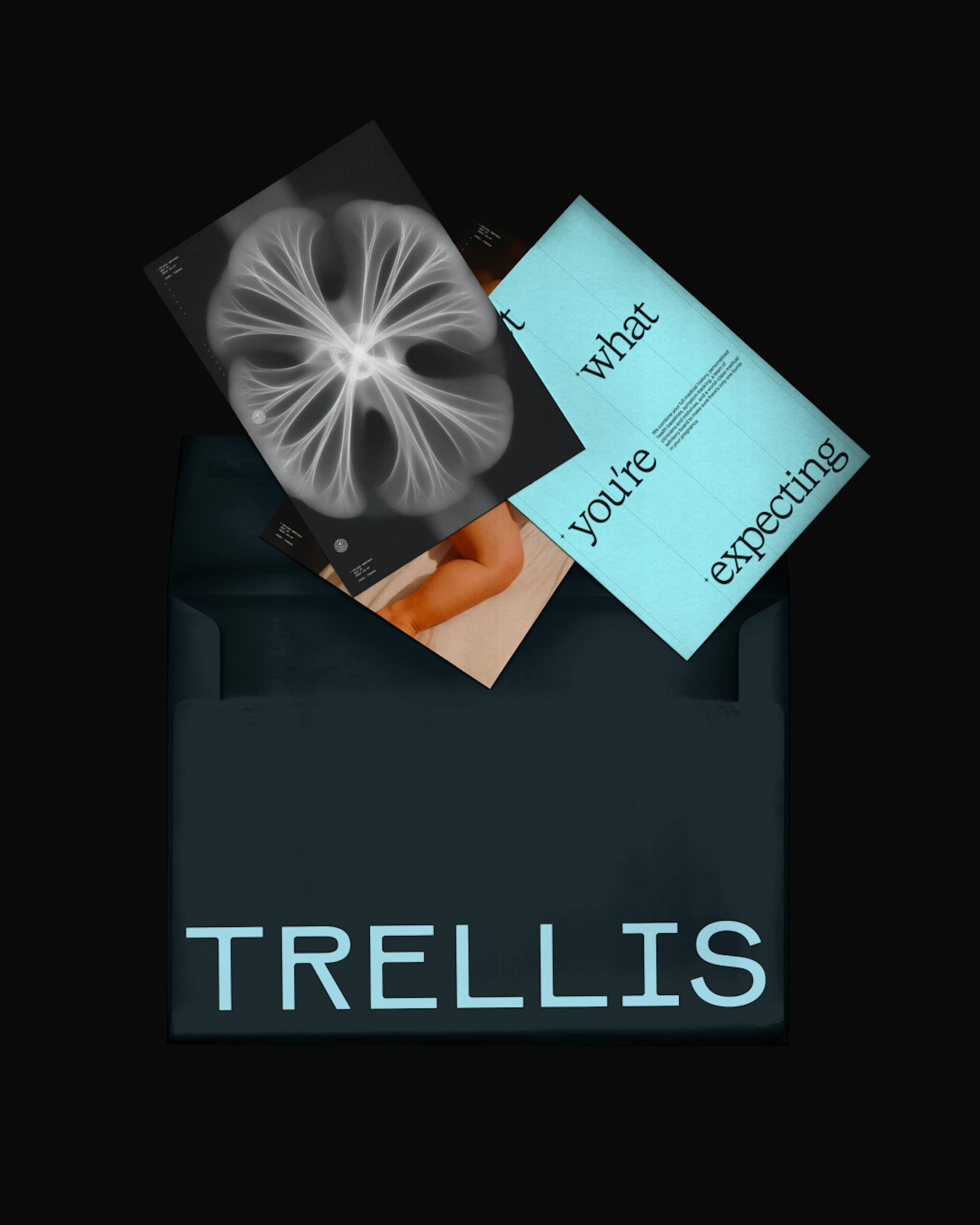 Trellis branded envelope featuring the brand's sunlit photography