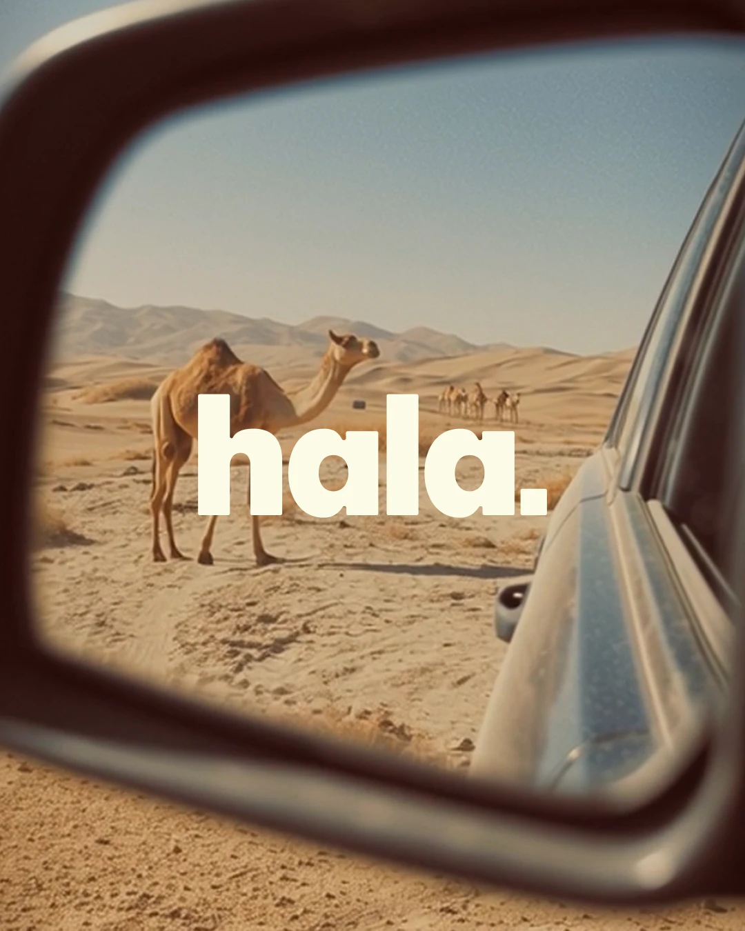 Hala
