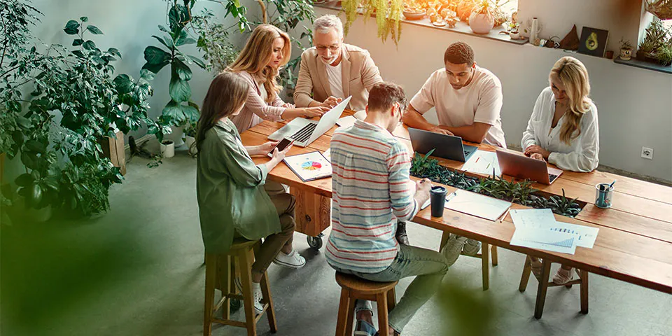 Advantages and Disadvantages of a UK Private Limited Company