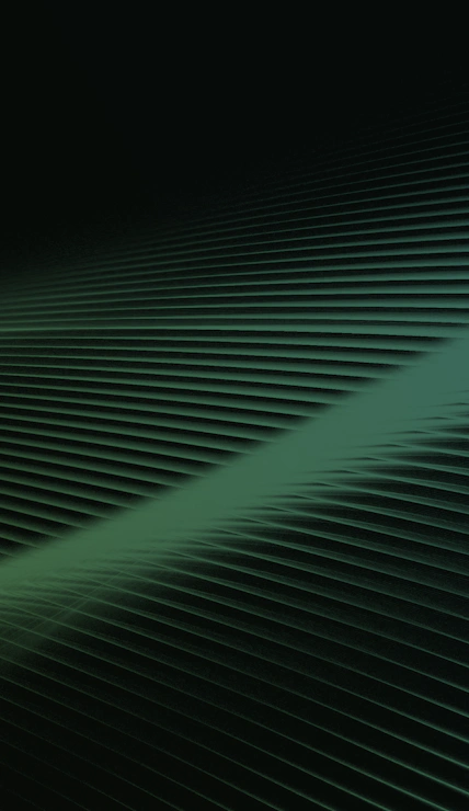 Illustration avec un fond vert et des lignes.