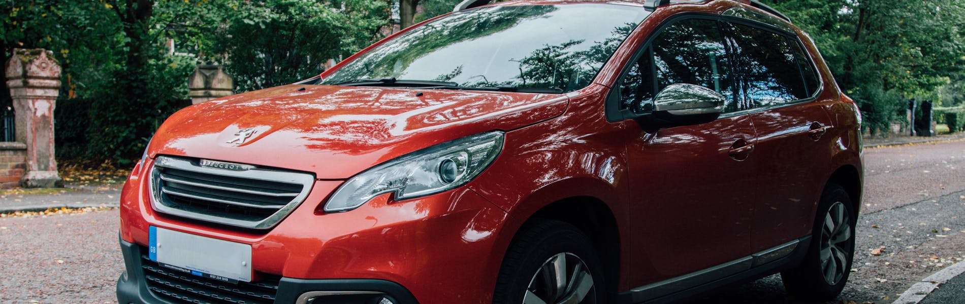 Photo by Matthew Daniels on Unsplash