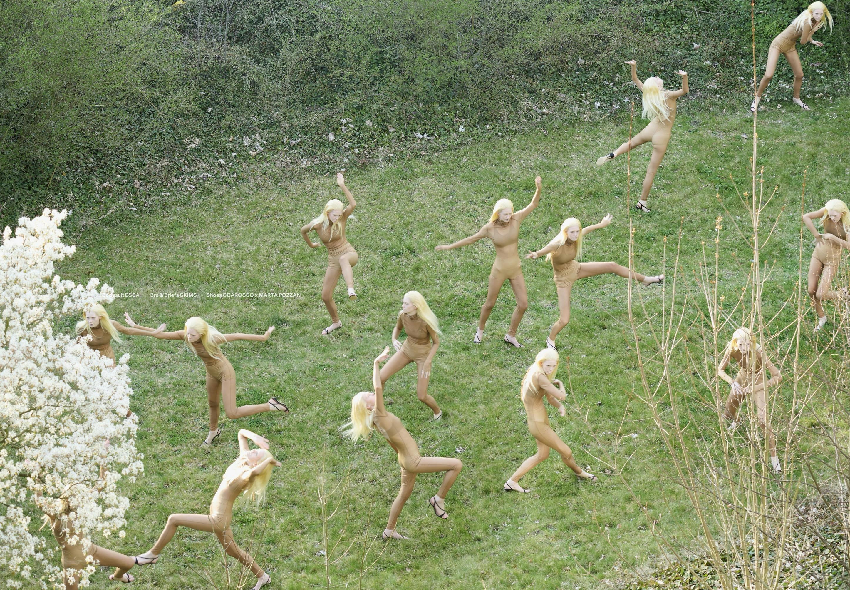 Image 11