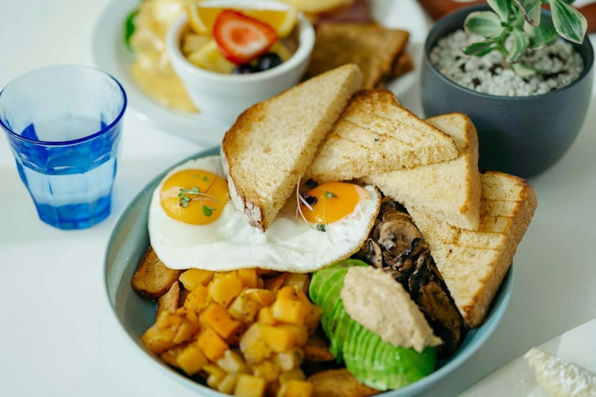 A colorful plate with eggs, potatoes, toast, and fresh garnishes, complemented by a glass of water on the side and a decorative plant