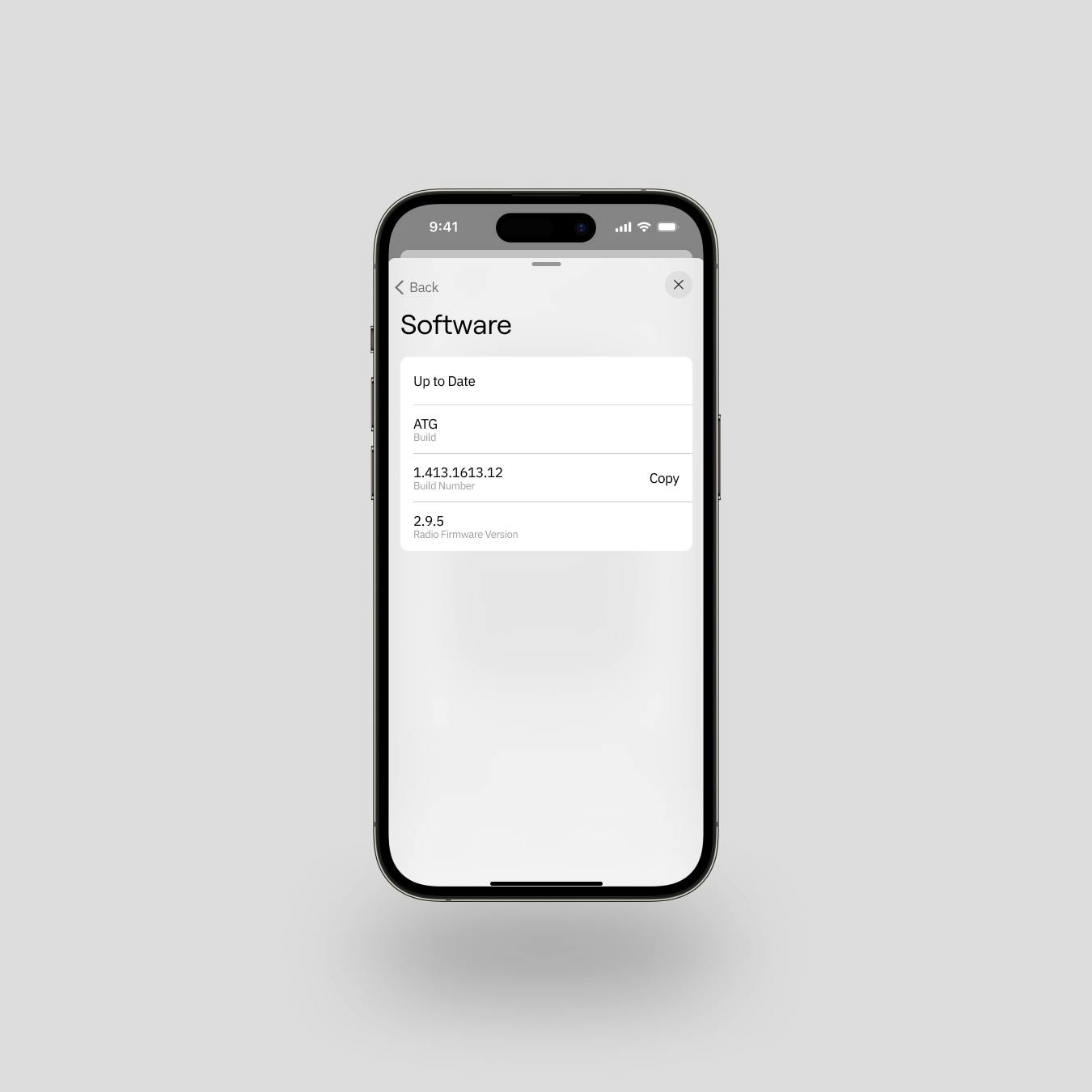 An iPhone showing the companion app's software management page