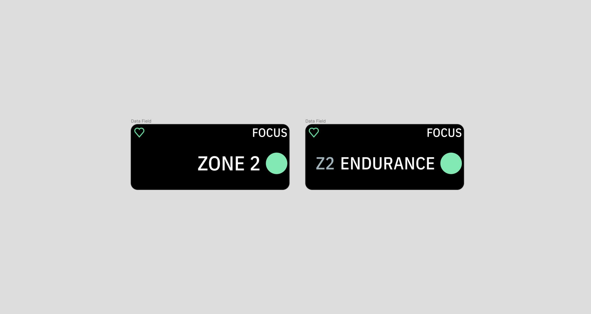 Two variations of the Karoo focus data field on-device