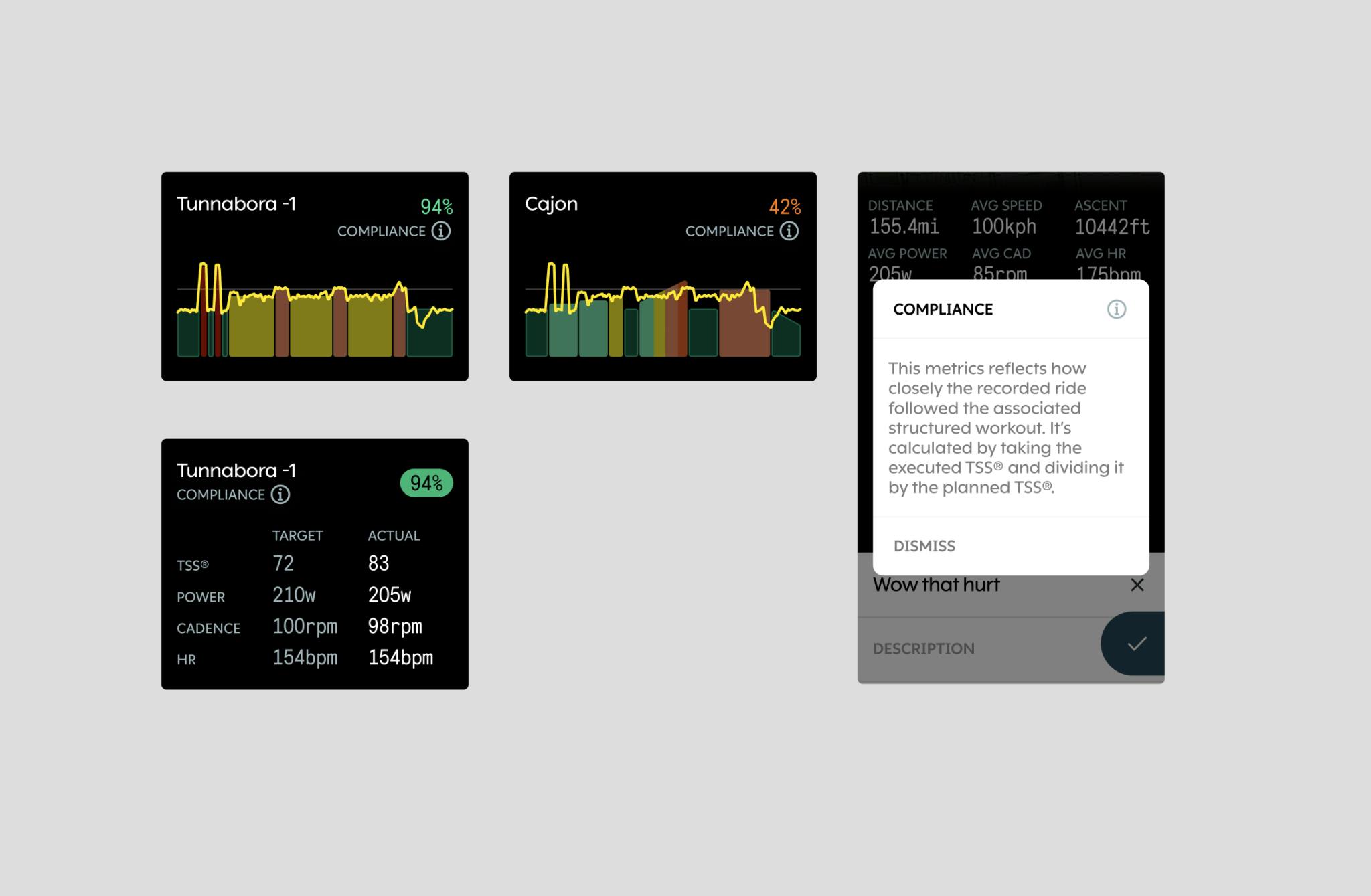 UI elements of the Karoo post-ride compliance data field