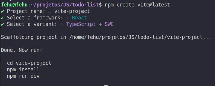 Vite installed giving commands to install dependencies and run the project
