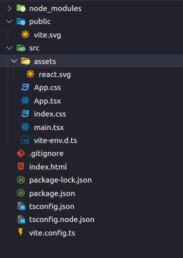 Vite project folder's structure