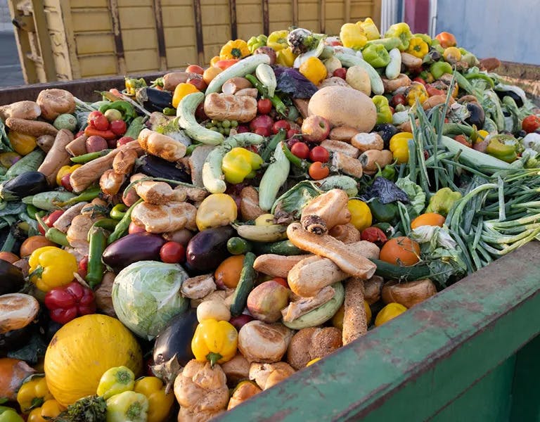 Food waste