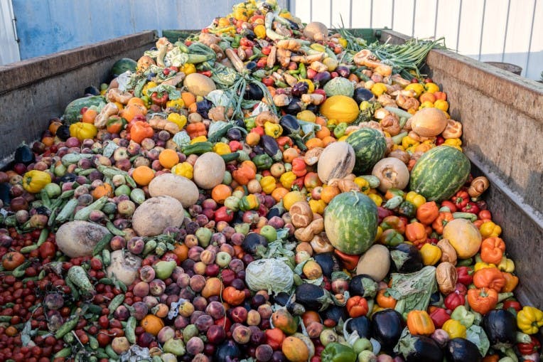 food waste