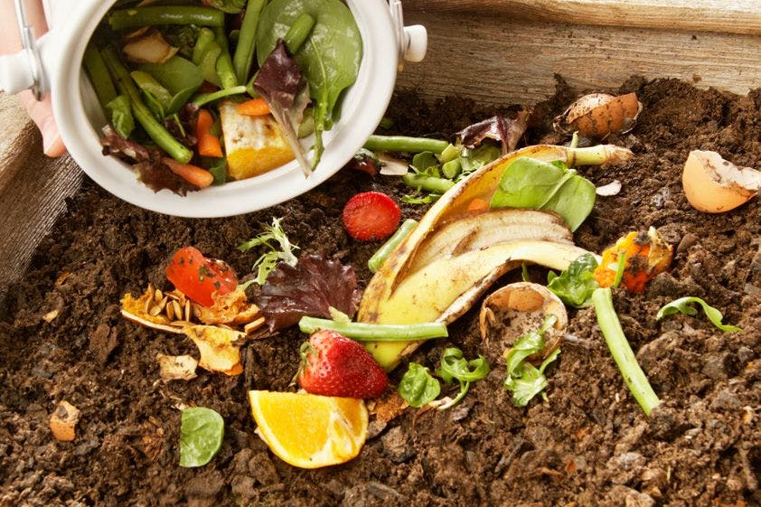 Food waste