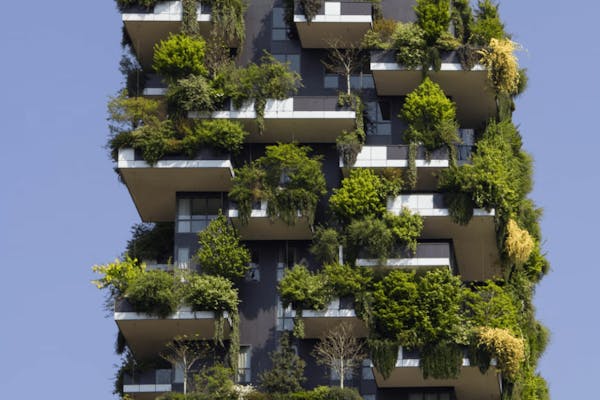 appartement met groene planten