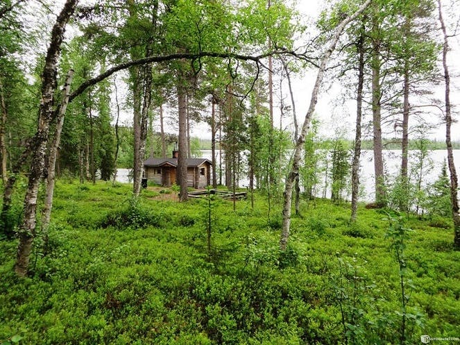 Metsähallituksen tarina 