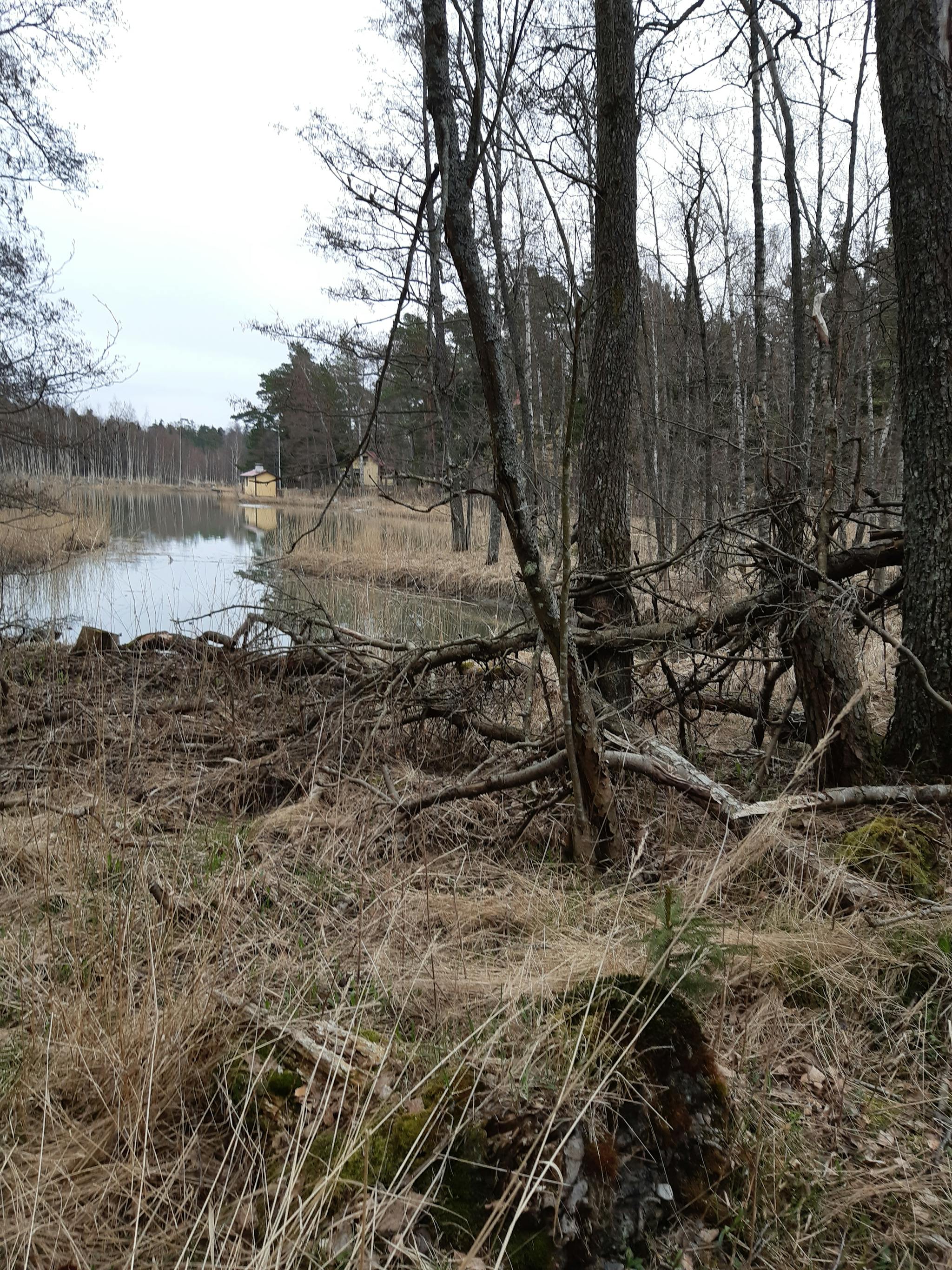 Syksyinen kuva kiinteistöstä. Kiinteistöllä kasvaa joitain puita ja se rajoittuu vesistöön.