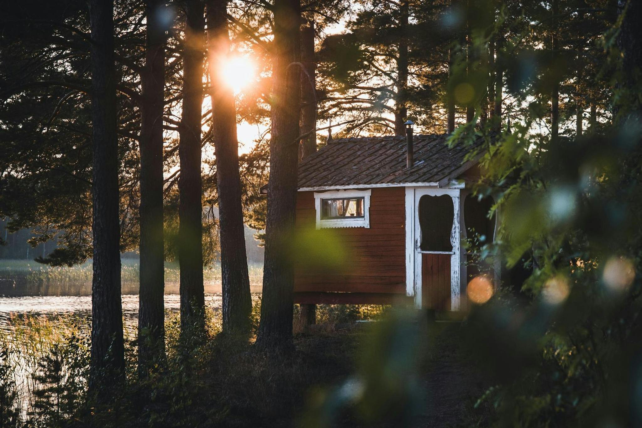 Punainen mökki metsän keskellä
