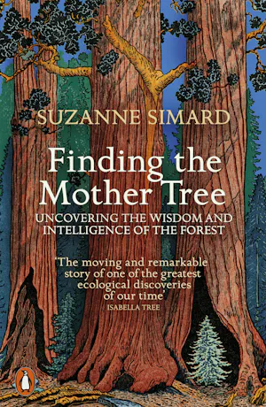 Finding the Mother Tree: Discovering the Wisdom of the Forest