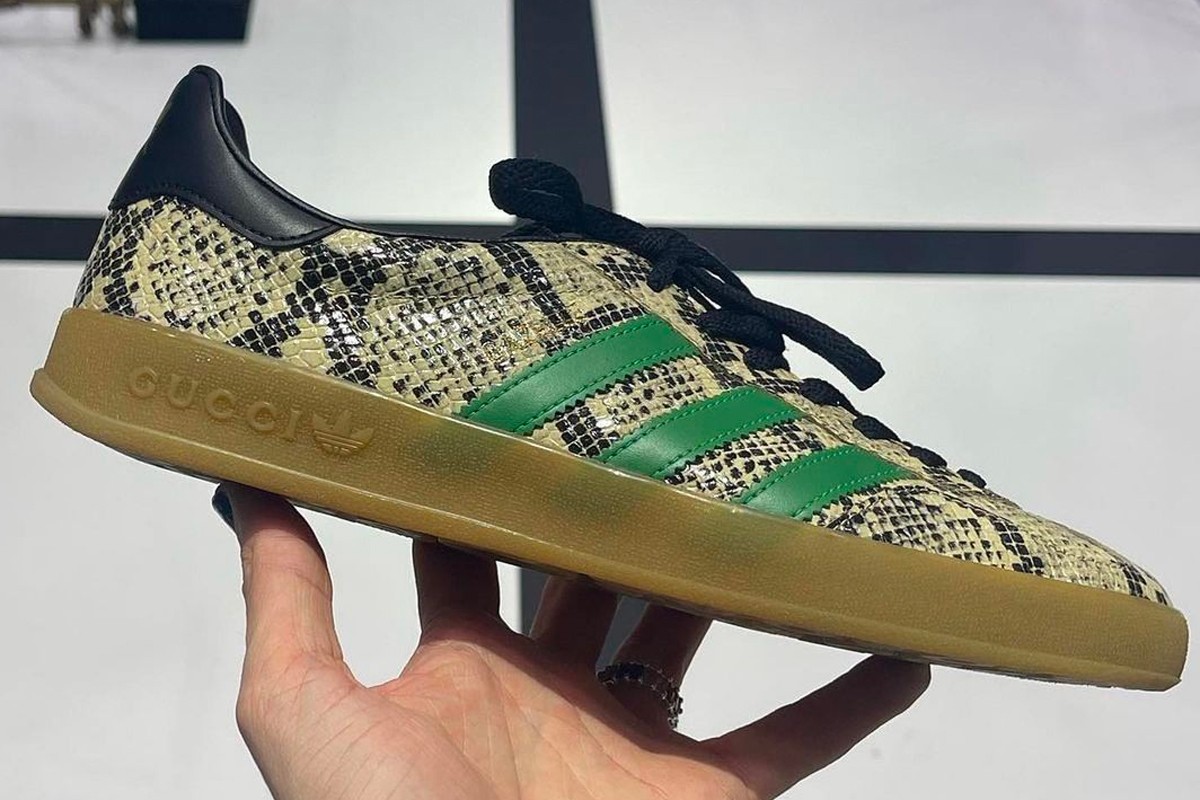 adidas plus gucci