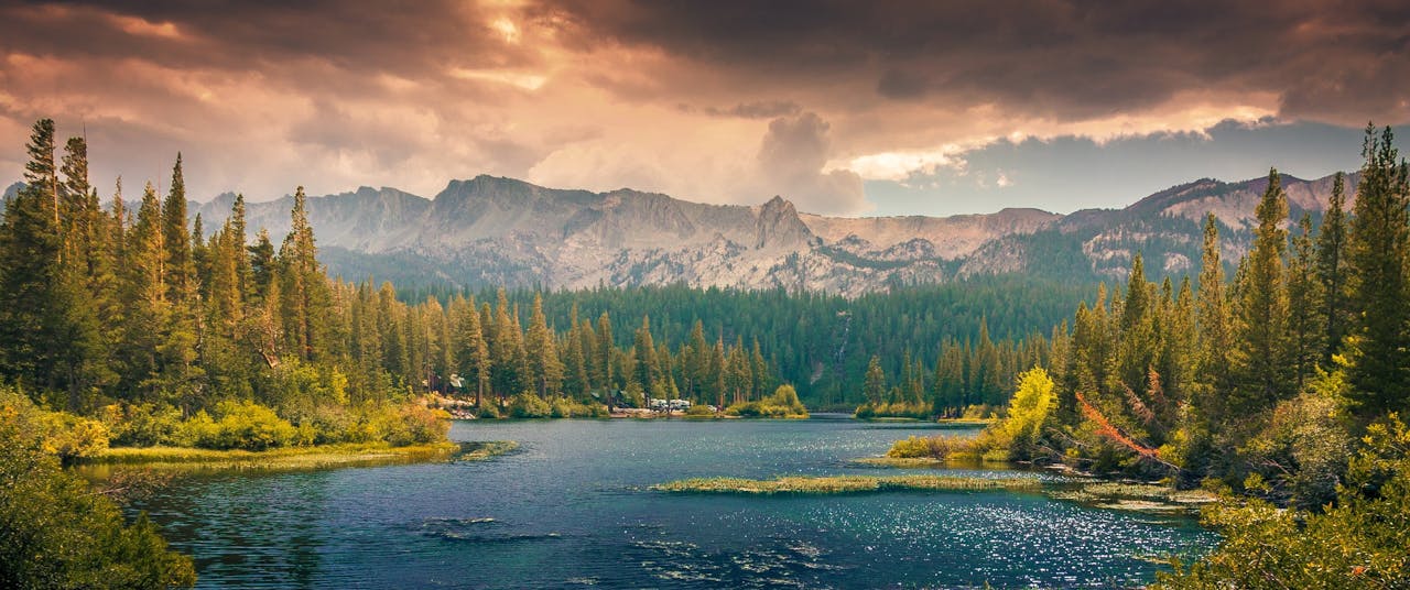 The perfect vacation The perfect vacation