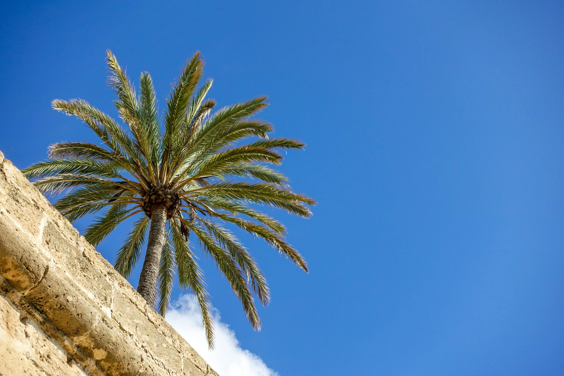 Summer Spanish courses in Barcelona - why they make sense