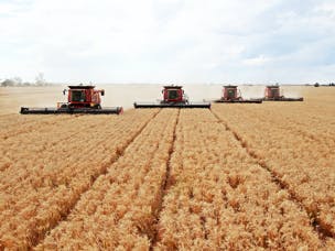 Fields cultivated by combines