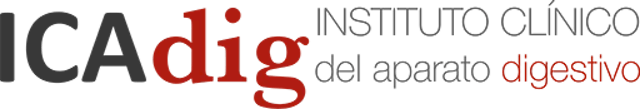 ICAdig logo