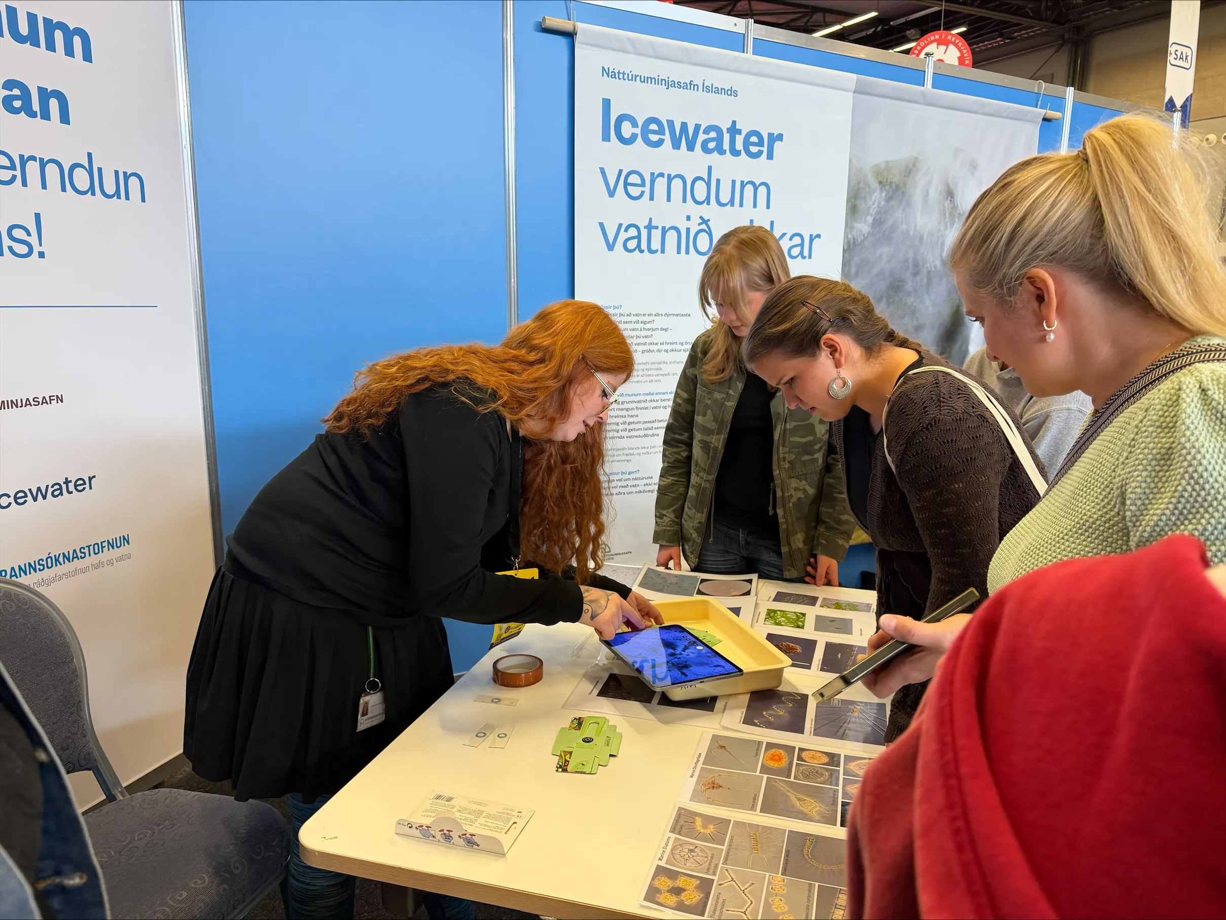 Mynd 6 frá Vísindavöku